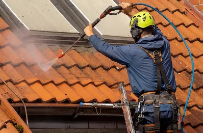 Démoussage et hydrofuge de toiture à Villieu-Loyes-Mollon
